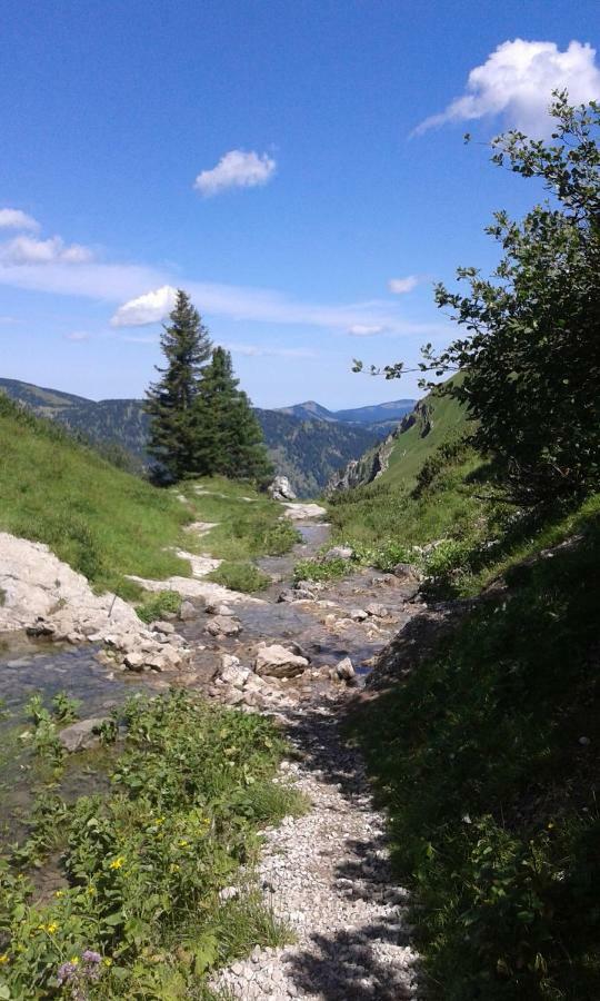 Alpenappartement Kleiner ทันน์ไฮม์ ภายนอก รูปภาพ